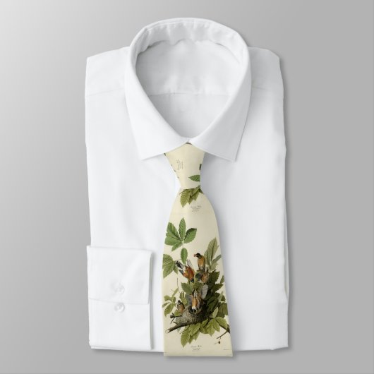 アメリカのオードボンの鳥のロビン ネクタイ (タイ)