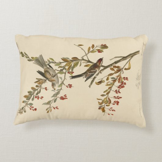 アメリカのオードボンの鳥の木の雀 アクセントクッション (裏面)