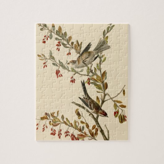 アメリカのオードボンの鳥の木の雀 ジグソーパズル (縦)