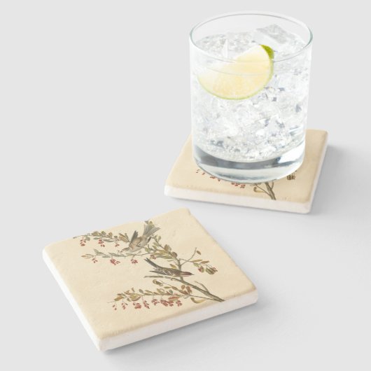 アメリカのオードボンの鳥の木の雀 ストーンコースター (横)