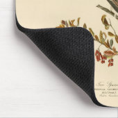 アメリカのオードボンの鳥の木の雀 マウスパッド (コーナー)