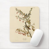 アメリカのオードボンの鳥の木の雀 マウスパッド (マウス)