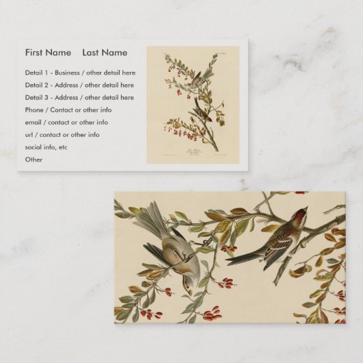 アメリカのオードボンの鳥の木の雀 名刺 (正面/裏面)