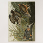 アメリカのオードボンの鳥の森 ジグソーパズル (縦)