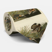 アメリカのオードボンの鳥の森 ネクタイ (ロール)
