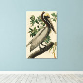 アメリカのオードボンの鳥の茶色のペリカン キャンバスプリント (インサイチュ (ウッドフロア))