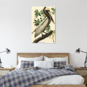 アメリカのオードボンの鳥の茶色のペリカン キャンバスプリント (インサイチュ (寝室))