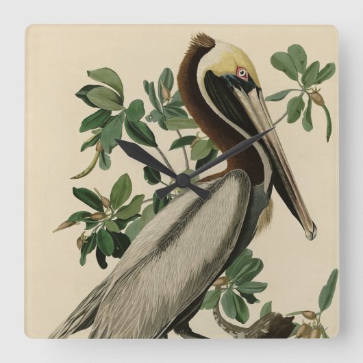 アメリカのオードボンの鳥の茶色のペリカン スクエア壁時計 (正面)