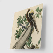 アメリカのオードボンの鳥の茶色のペリカン スクエア壁時計 (傾斜)