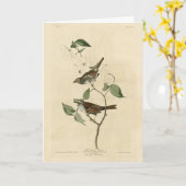 アメリカのオードボンの鳥、白い喉の付いたスズメ カード (黄色い花)