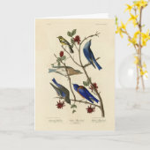 アメリカのオードボンの鳥、青い鳥とイラクサ カード (黄色い花)