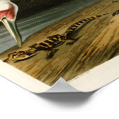 アメリカのオードボンバードのジョン・ジェームス ポスター (角)