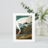 アメリカのオードボンバードのジョン・ジェームス ポストカード (スタンド正面)