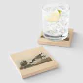 アメリカのオードボンバード出身のブラントガチョウ ストーンコースター (横)