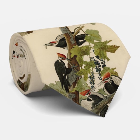 アメリカのオードボンバード産のキツネザル ネクタイ (ロール)