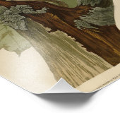 アメリカのオードボンバード産のキツネザル フォトプリント            (角)