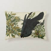 アメリカのオードボン・バード出身のレイヴン アクセントクッション (正面)