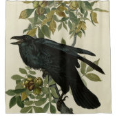 アメリカのオードボン・バード出身のレイヴン シャワーカーテン (正面)