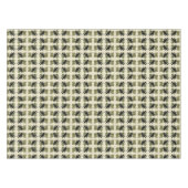 アメリカのオードボン・バード出身のレイヴン テーブルクロス (正面(横))