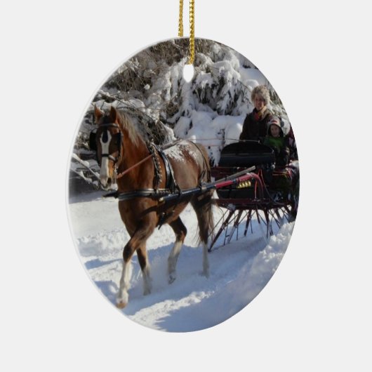 アメリカのオーナメントのウェールズ子馬及び穂軸の社会 セラミックオーナメント (右)