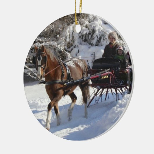 アメリカのオーナメントのウェールズ子馬及び穂軸の社会 セラミックオーナメント (左)