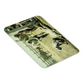 アメリカのカウボーイズブランディングaふくらはぎ, c.1900 (写真) マグネット (右側)