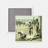 アメリカのカウボーイズブランディングaふくらはぎ, c.1900 (写真) マグネット (正面/裏面)