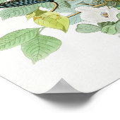 アメリカのカロライナのカメDove John Audubon Birds ポスター (角)