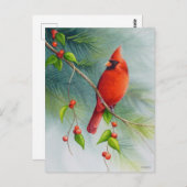 アメリカのカーディナル鳥の水彩画アート ポストカード (正面/裏面)