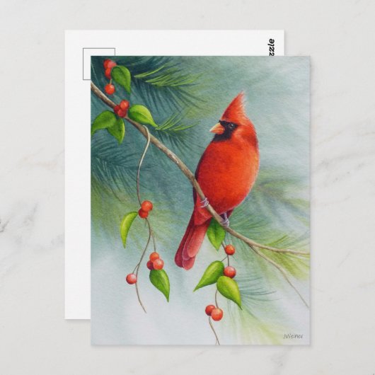 アメリカのカーディナル鳥の水彩画アート ポストカード (正面/裏面)
