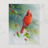 アメリカのカーディナル鳥の水彩画アート ポストカード (正面)