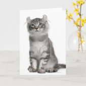 アメリカのカールの子ネコ(3か月古い) カード (黄色い花)