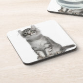 アメリカのカールの子ネコ(3か月古い) コースター (左側)