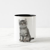 アメリカのカールの子ネコ(3か月古い) ツートーンマグカップ (中央)