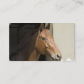 アメリカのクォーター馬の名刺 名刺 (裏面)