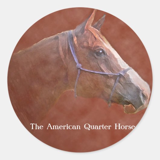 アメリカのクォーター馬 ラウンドシール (正面)
