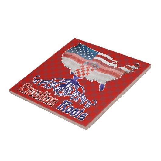 アメリカのクロアチアはセラミックタイルを定着させます タイル (側面)