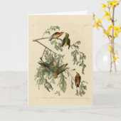 アメリカのクロスビルAudubon's Birds of America カード (黄色い花)