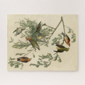 アメリカのクロスビルAudubon's Birds of America ジグソーパズル (横)
