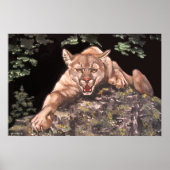アメリカのクーガーのポスター ポスター (正面)