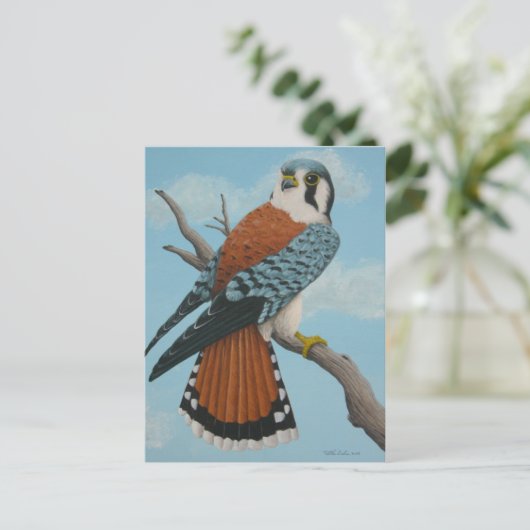 アメリカのケストレルはがき ポストカード (スタンド正面)