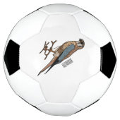 アメリカのケストレル鳥の漫画イラストレーション サッカーボール (回転)