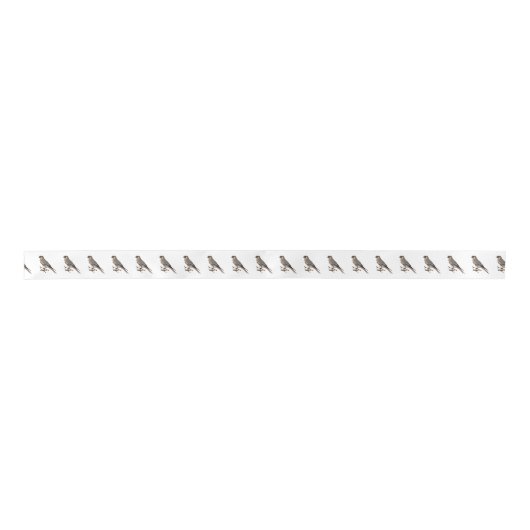 アメリカのケストレル鳥の漫画イラストレーション サテンリボン (正面)