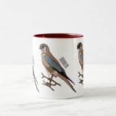 アメリカのケストレル鳥の漫画イラストレーション ツートーンマグカップ (中央)