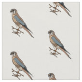 アメリカのケストレル鳥の漫画イラストレーション ファブリック (クローズアップ)