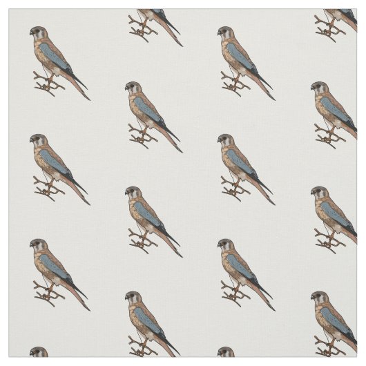 アメリカのケストレル鳥の漫画イラストレーション ファブリック (見本)