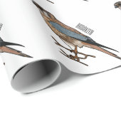 アメリカのケストレル鳥の漫画イラストレーション ラッピングペーパー (ロールコーナー)