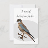 アメリカのケストレル鳥の漫画イラストレーション 招待状 (裏面)