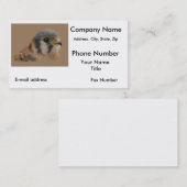 アメリカのケストレル 名刺 (正面/裏面)