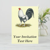 アメリカのゲームの銀の青の闘鶏 招待状 (スタンド正面)